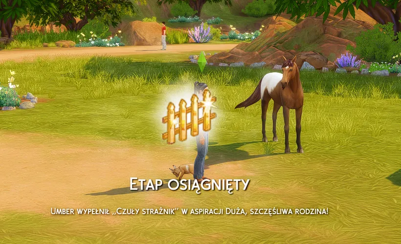 What you see when you complete a level of an aspiration, in Polish